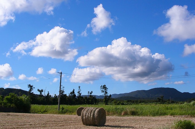 cielo y suelo