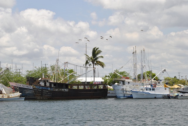 muelle de san blas