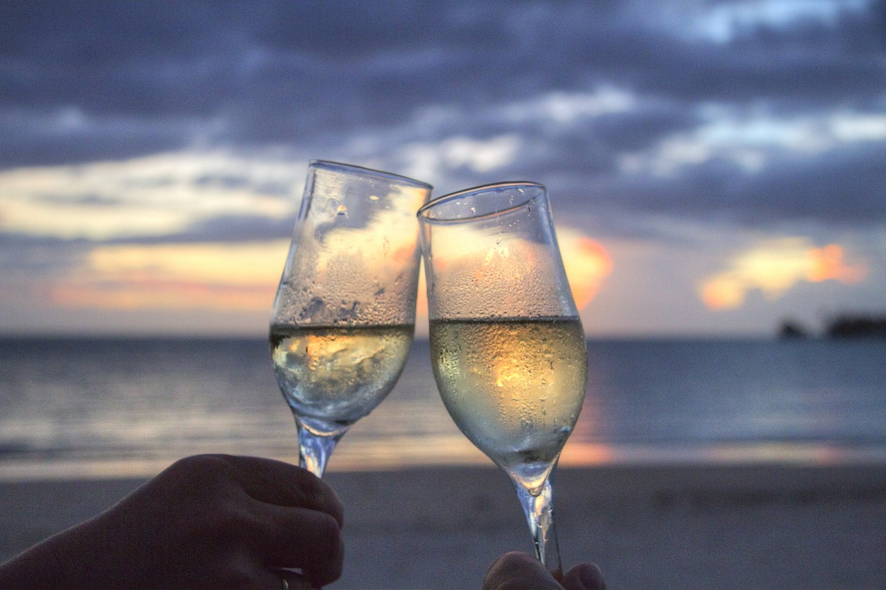brindis brindis
